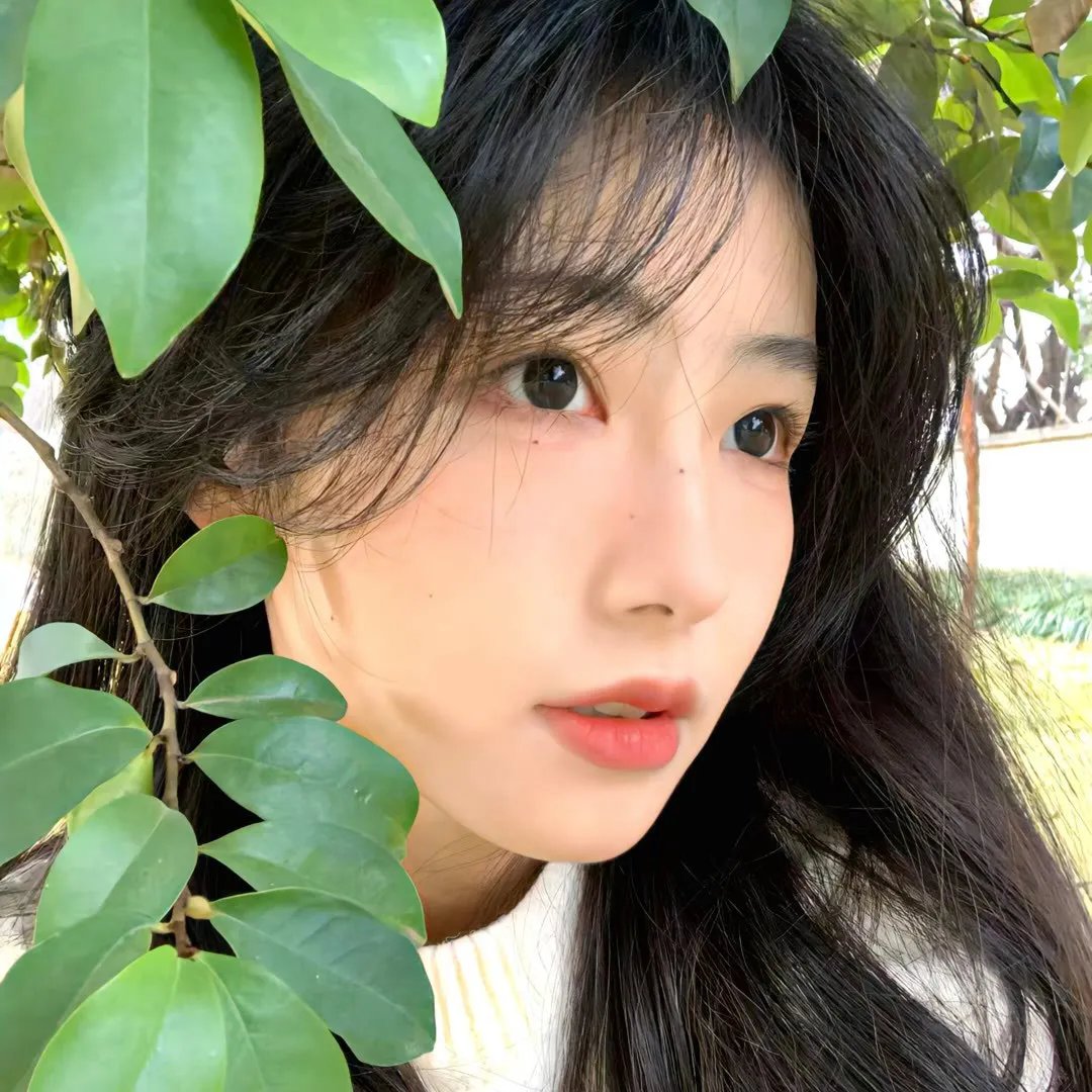 摇曳露营