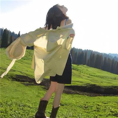 杂家高手